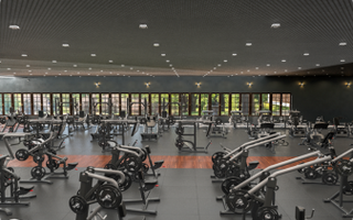 Cardio vs. Strength: Essential Commercial Gym Equipment You Must Have