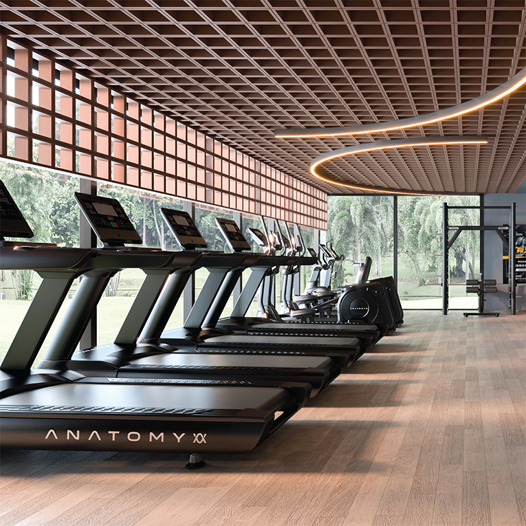 Machine Cardio Bras Commercial Cardio Equipments | Anatomy Cardio Machines for Gyms ...