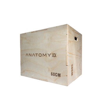 3 In 1 Wooden plyo box