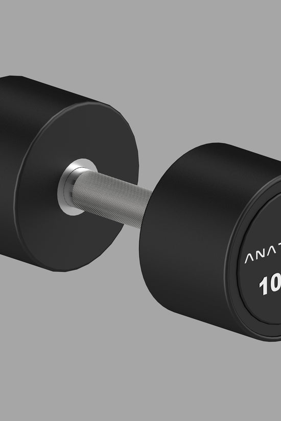 Pro style Round Dumbbell Pair