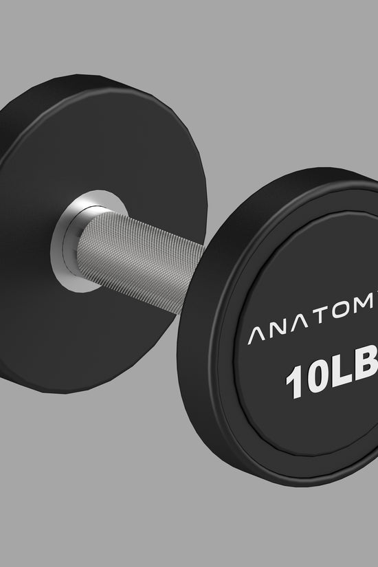 Pro style Round Dumbbell Pair
