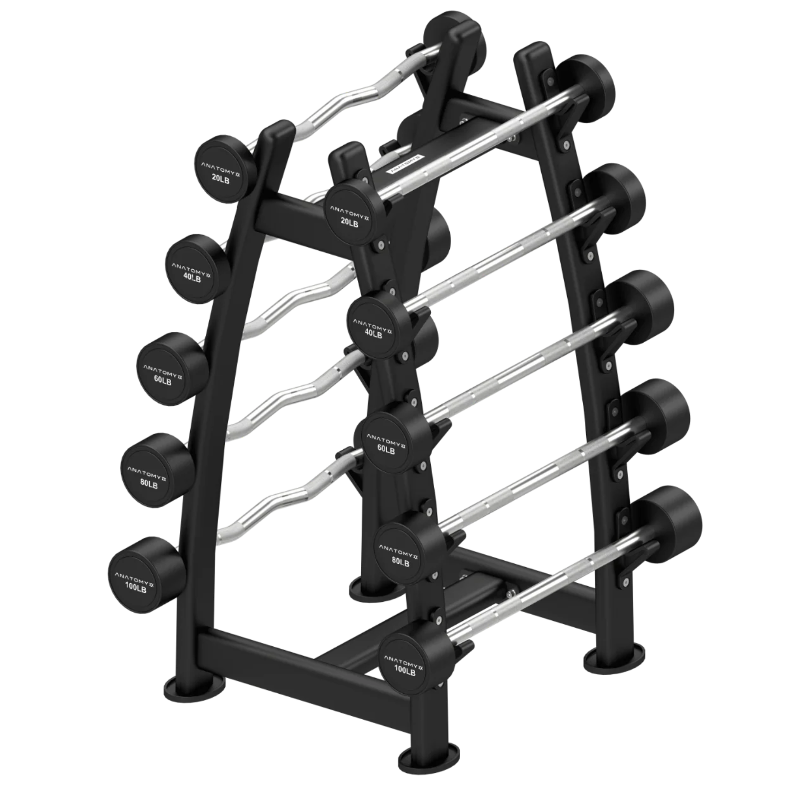 Fixed Curl & Straight Barbell Set with Rack