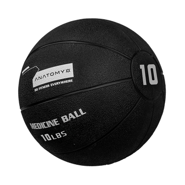 Anatomy Medicine Ball