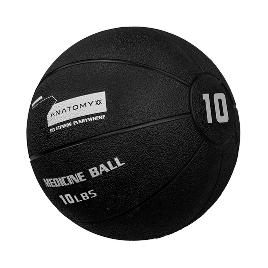 Anatomy Medicine Ball