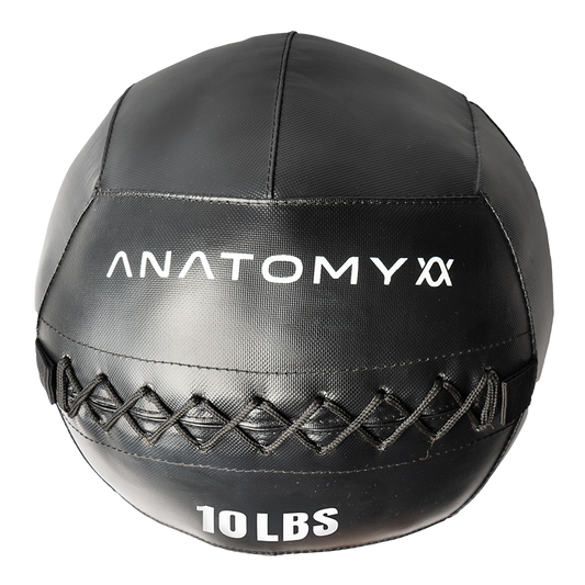 Anatomy Crossfit wall ball