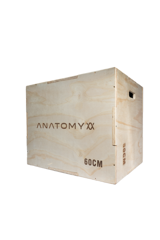 3 In 1 Wooden plyo box