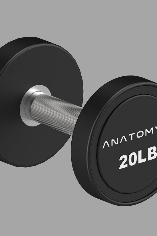 Pro style Round Dumbbell Pair