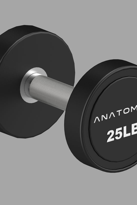 Pro style Round Dumbbell Pair