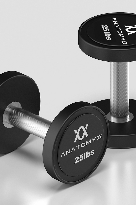 Anatomy Pro style Round Dumbbell Pair