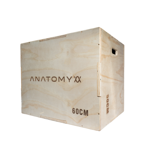 3 In 1 Wooden plyo box