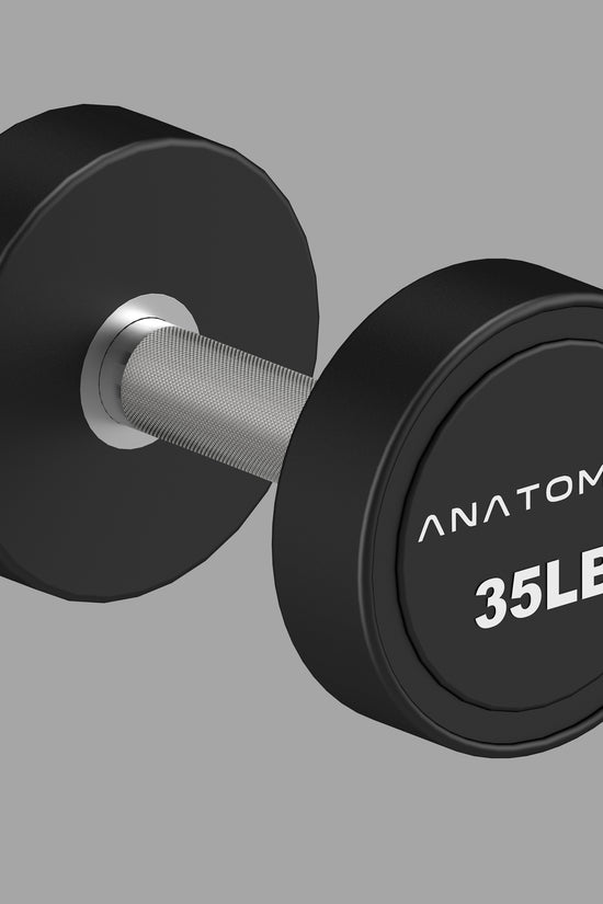 Pro style Round Dumbbell Pair