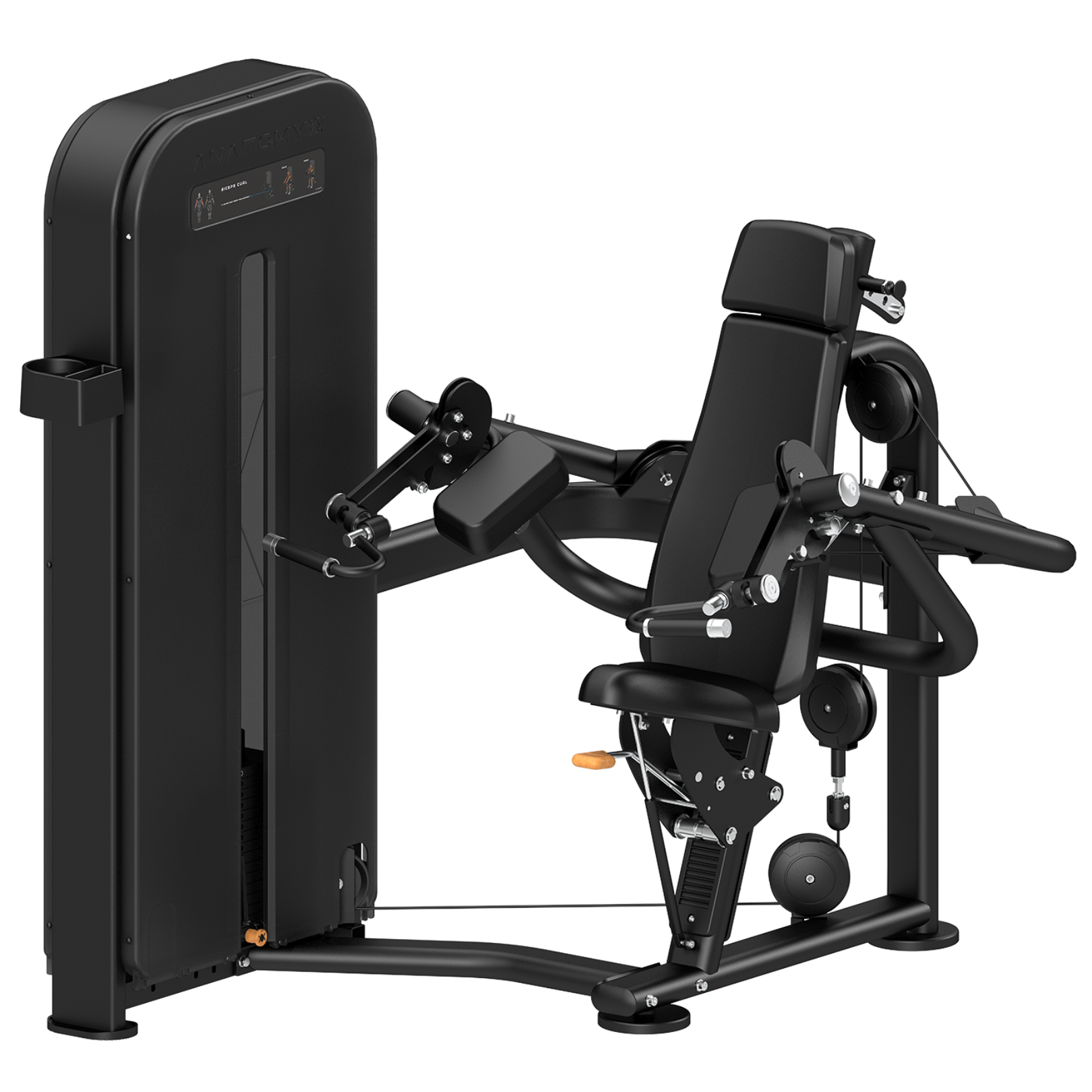 FLEXORA UNI - LATERAL BICEPS CURL