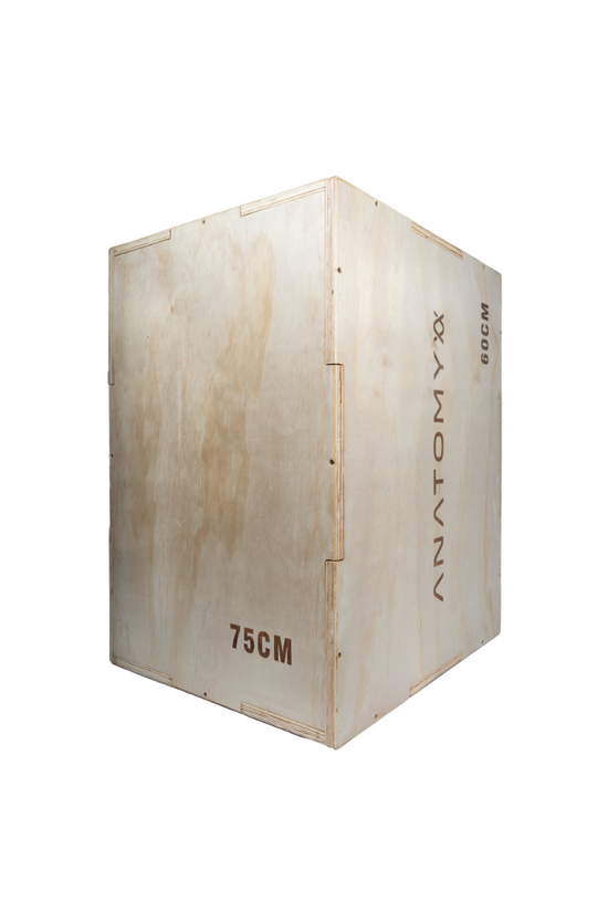 3 In 1 Wooden plyo box