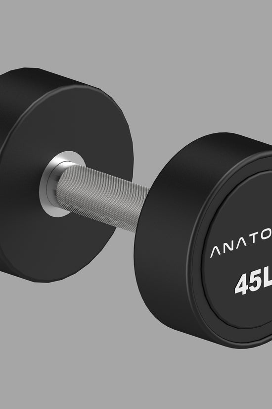 Pro style Round Dumbbell Pair