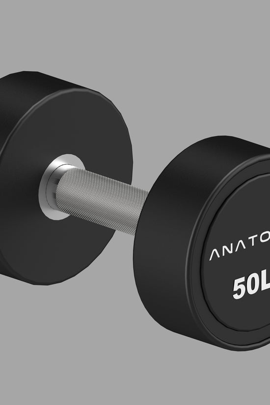 Pro style Round Dumbbell Pair