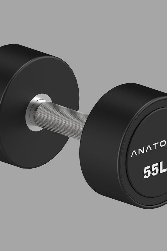 Pro style Round Dumbbell Pair