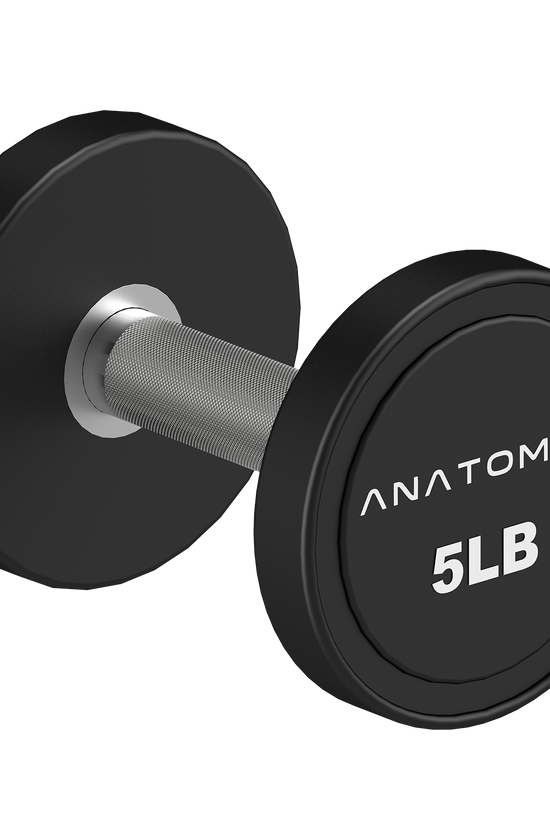 Pro style Round Dumbbell Pair