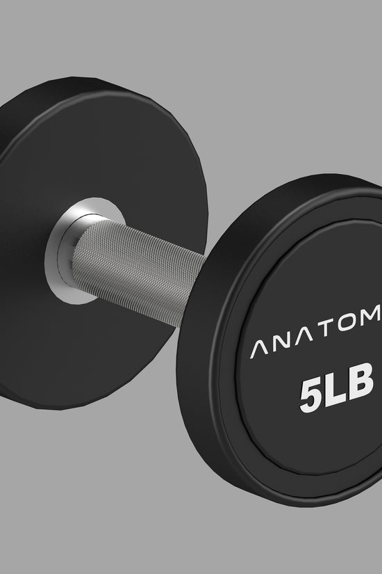 Pro style Round Dumbbell Pair