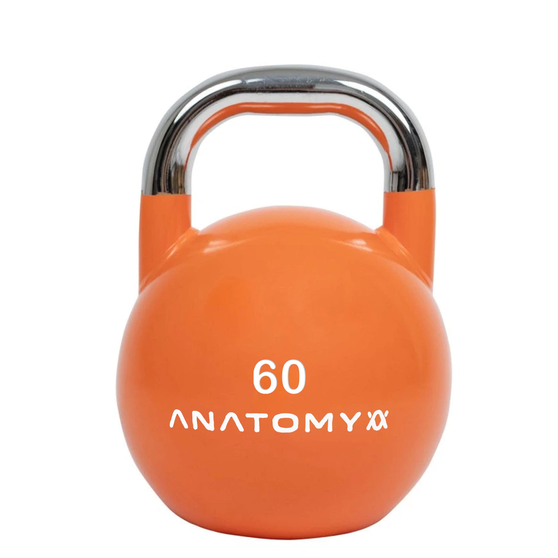 Anatomy Competition Kettlebell