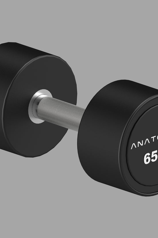 Pro style Round Dumbbell Pair