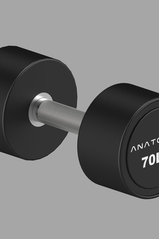 Pro style Round Dumbbell Pair