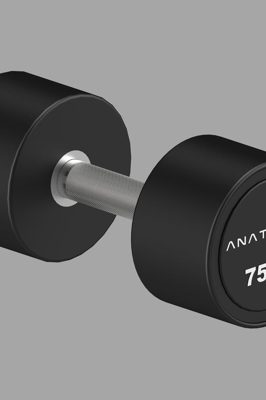 Pro style Round Dumbbell Pair