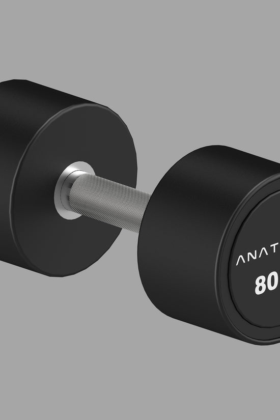 Pro style Round Dumbbell Pair