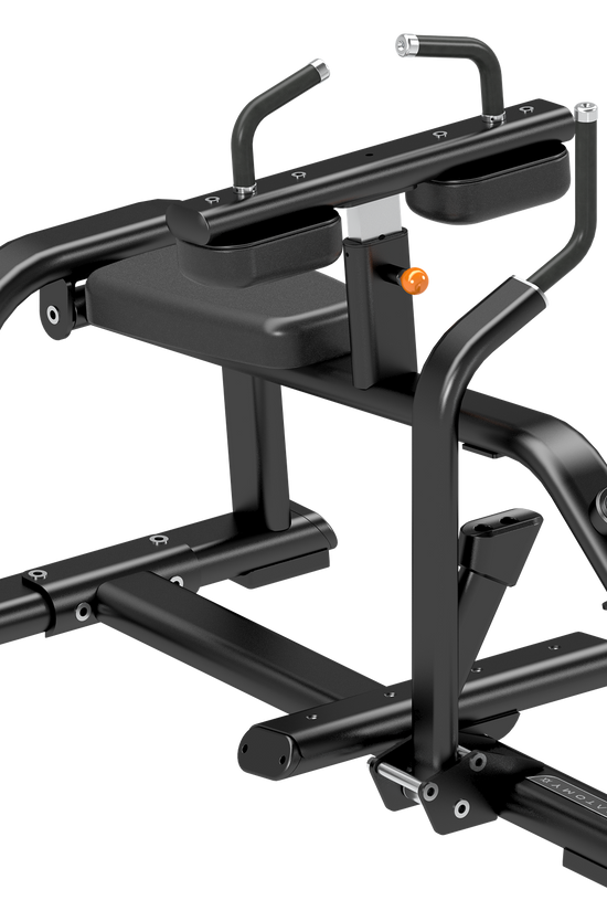 TORGYN SEATED CALF RAISE