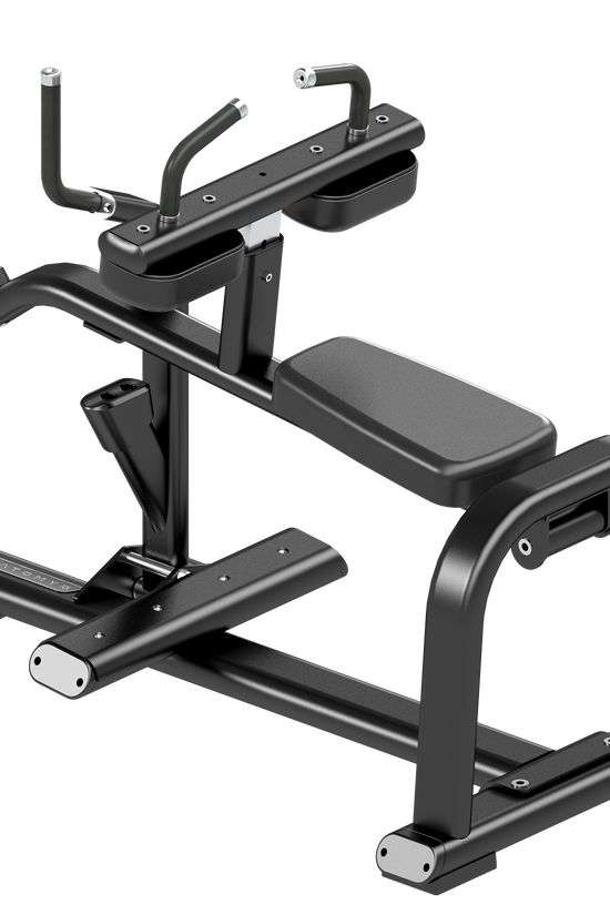 TORGYN SEATED CALF RAISE