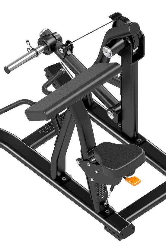 TORGYN BICEPS CURL