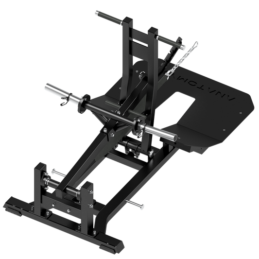 TORGYN BELT SQUAT