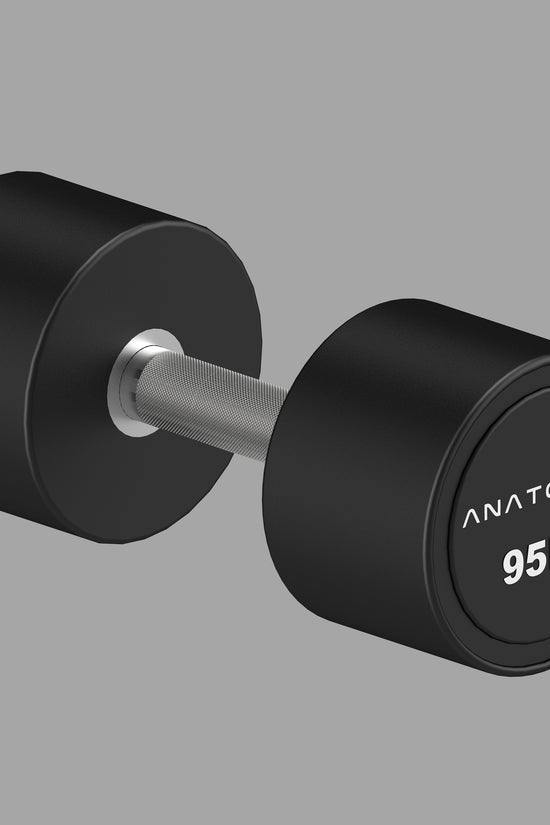 Pro style Round Dumbbell Pair