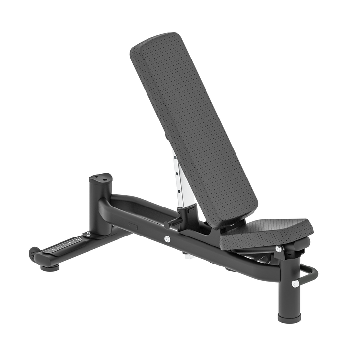Anatomy Utility Bench – Anatomy Fitness Co