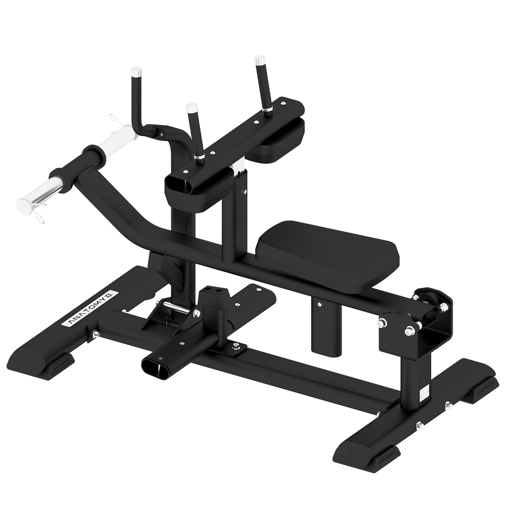 TORGYN SEATED CALF RAISE