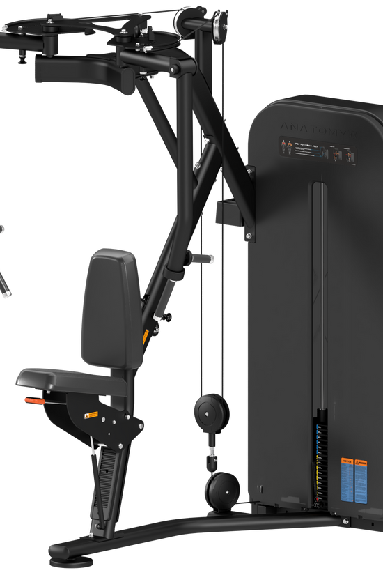 FLEXORA PEC FLY/REAR DELT