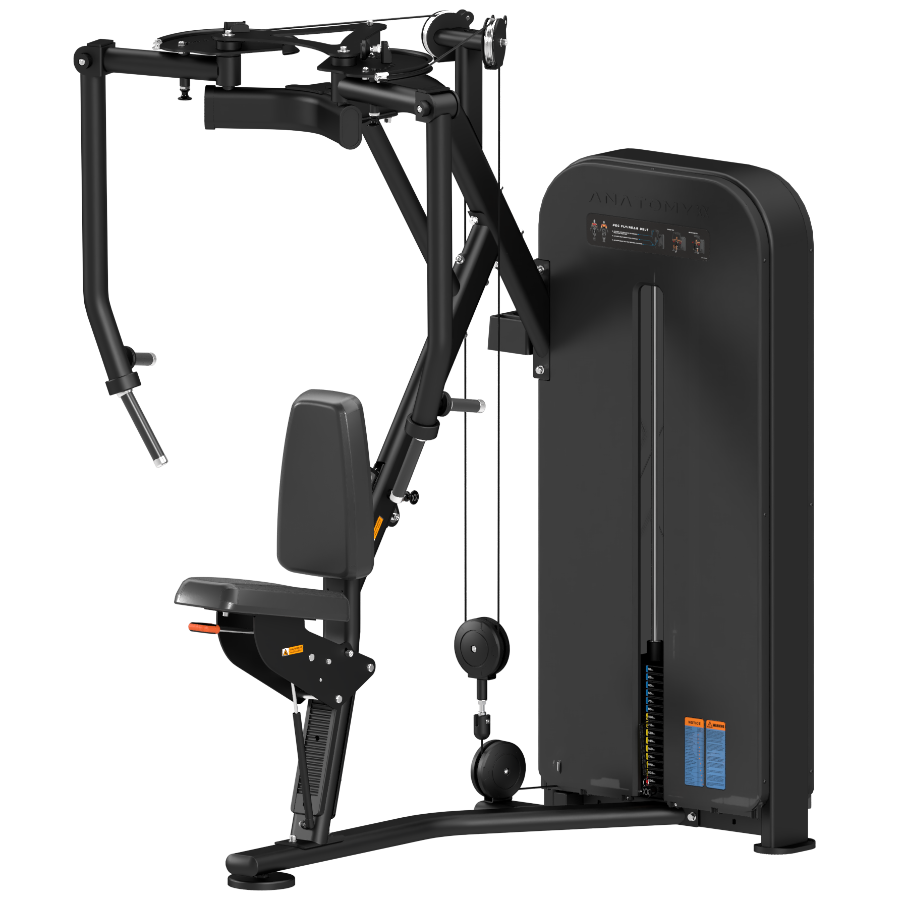 FLEXORA PEC FLY/REAR DELT