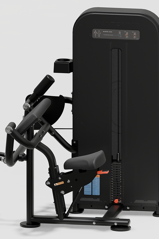 FLEXORA BICEPS CURL