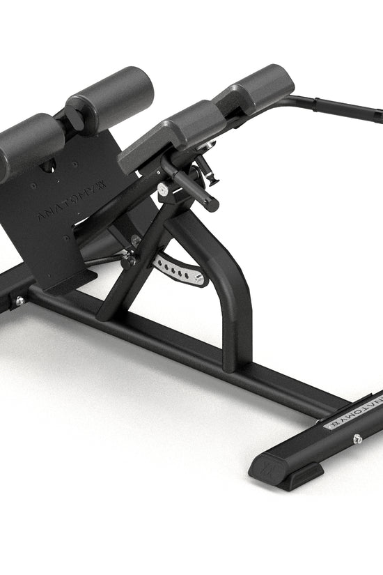 Multi-Adjustable Back Extension