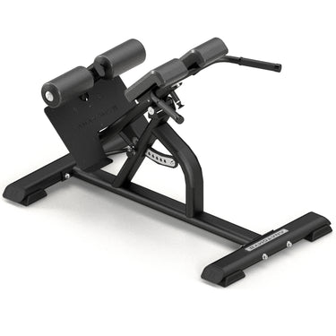 Multi-Adjustable Back Extension