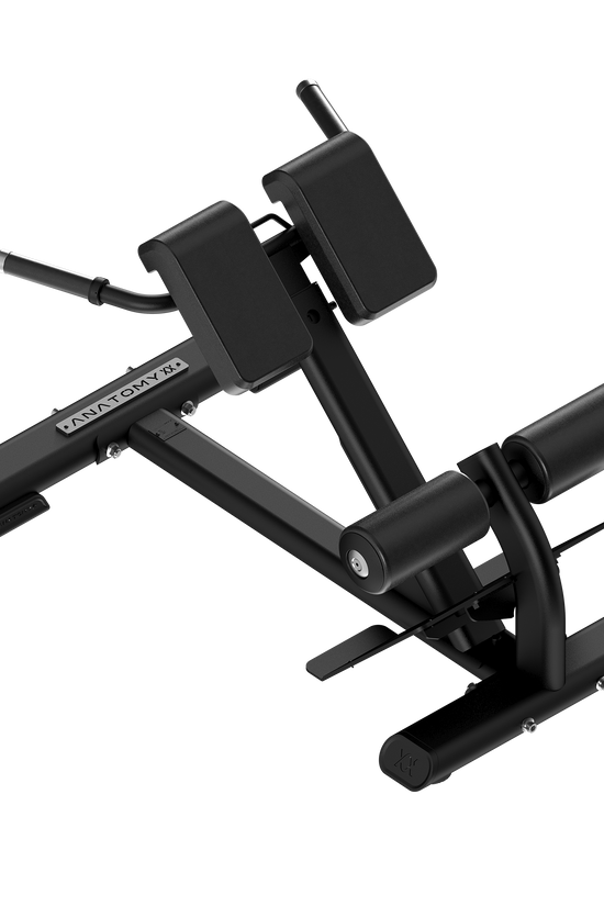 Back Extension