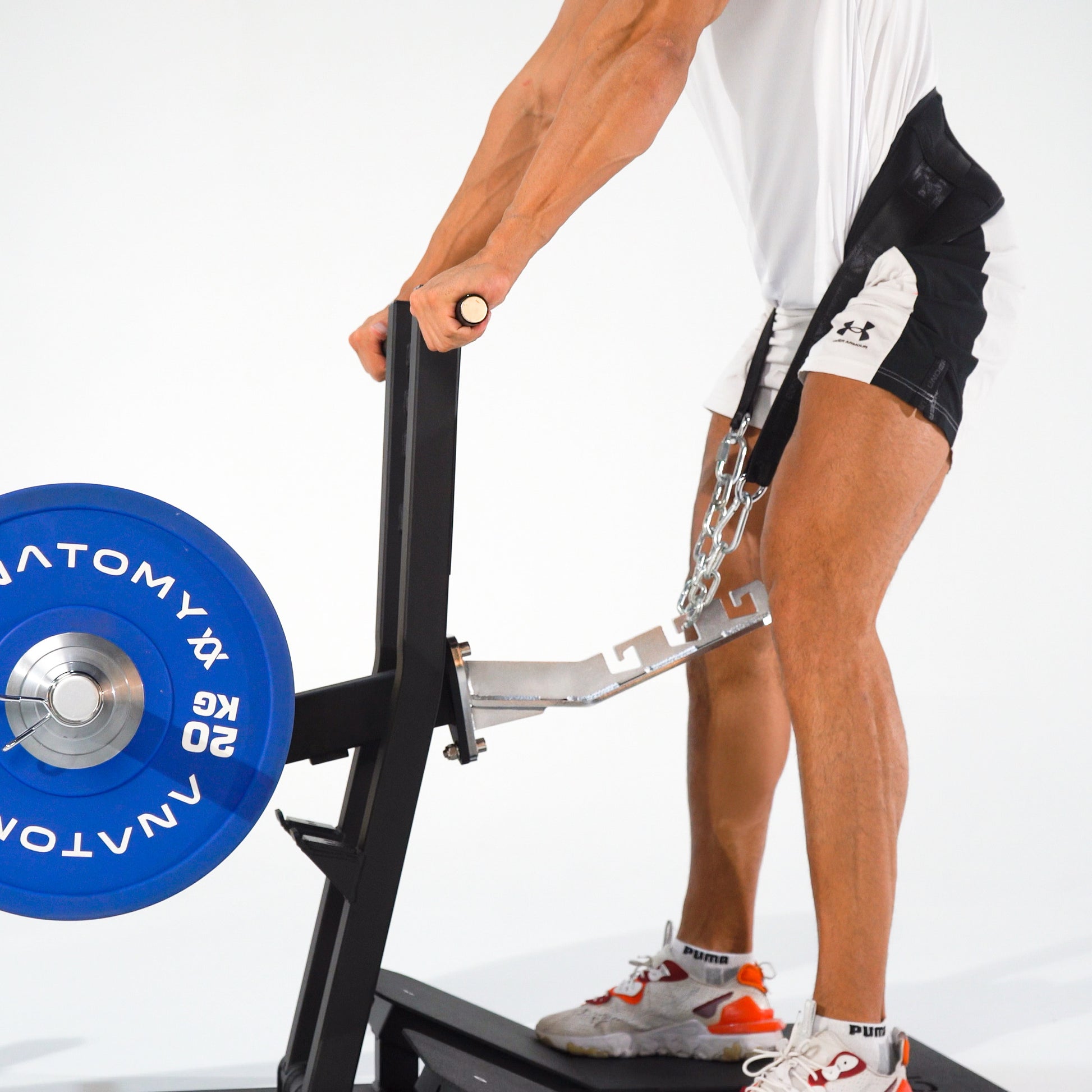 TORGYN BELT SQUAT