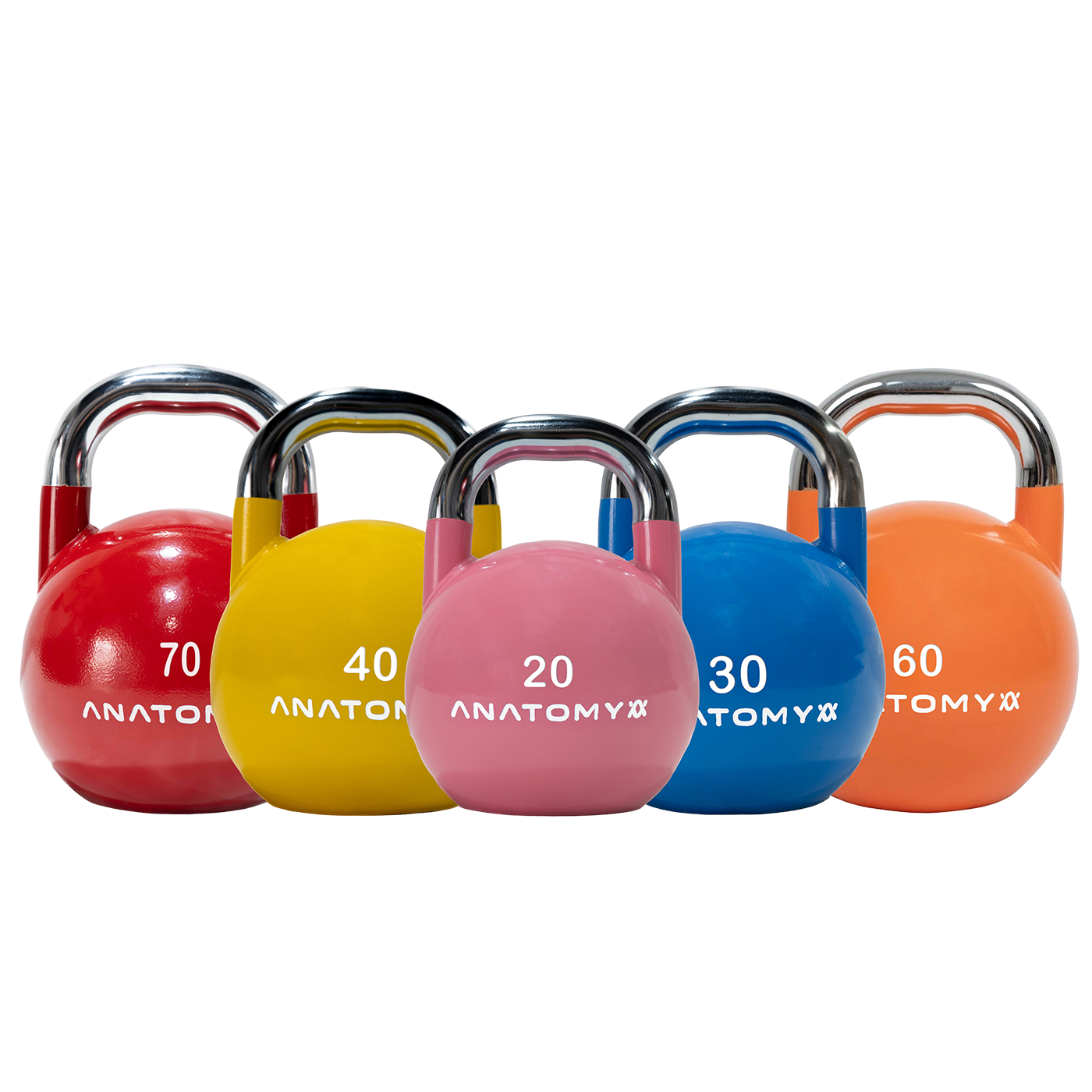 Anatomy Competition Kettlebell