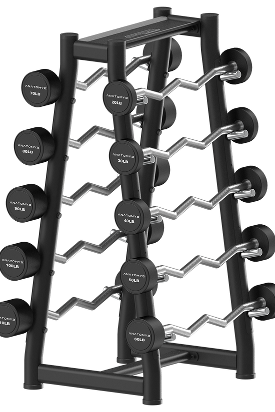 Fixed Curl Barbell Set with Rack 20LB - 110LB