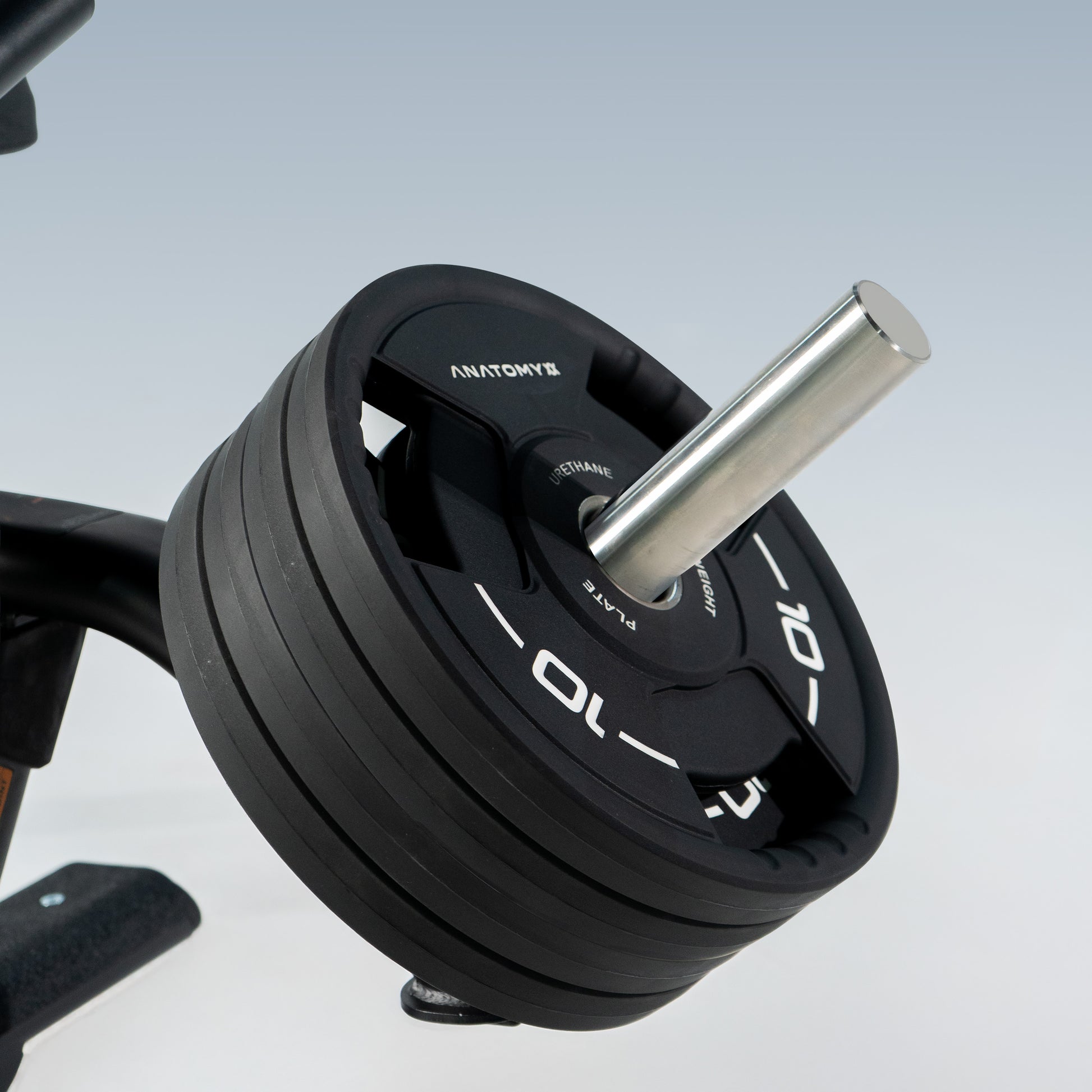 TORGYN SEATED CALF RAISE