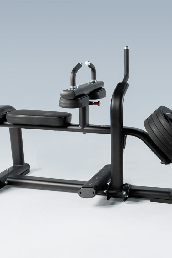 TORGYN SEATED CALF RAISE