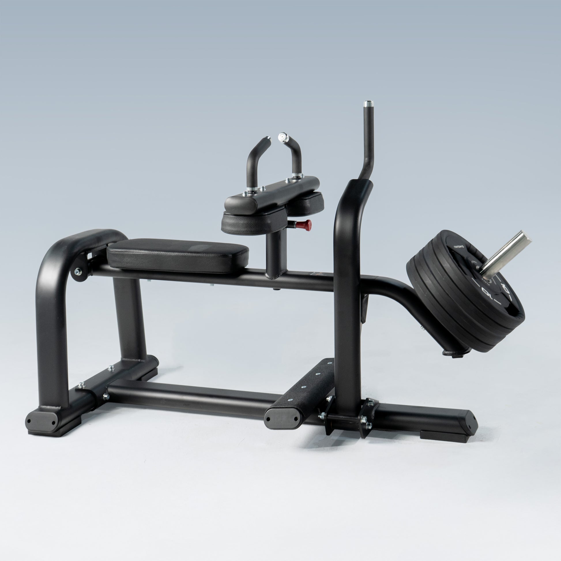 TORGYN SEATED CALF RAISE