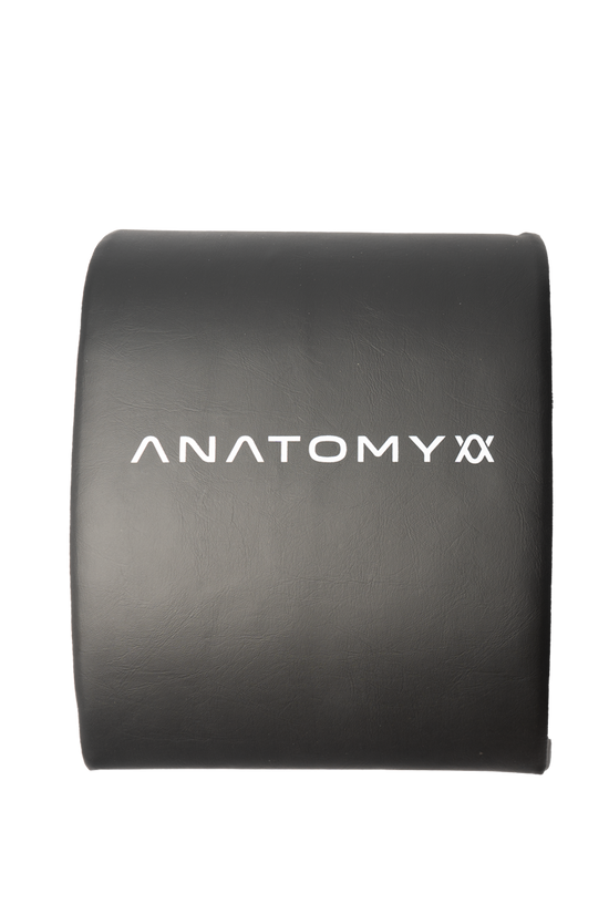Anatomy Abdominal Pad