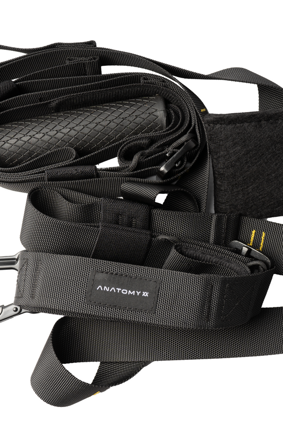 Anatomy Suspension trainer