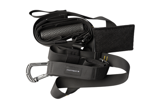 Anatomy Suspension trainer