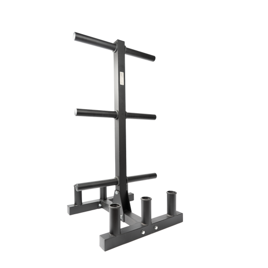 Anatomy weight plate tree with barbell holder